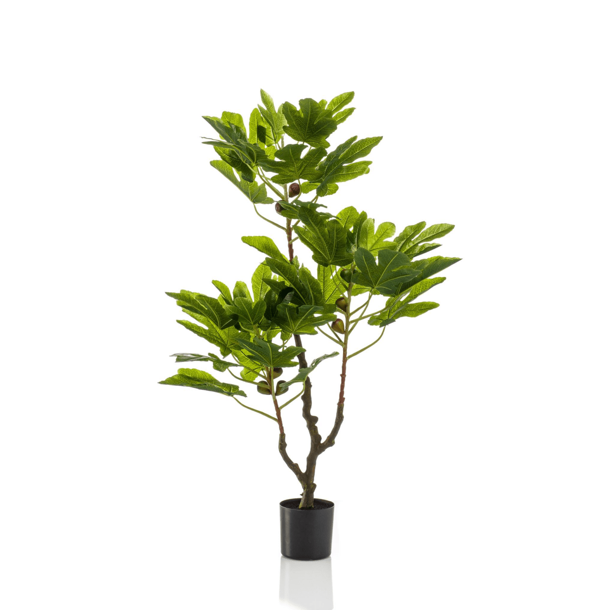 Ficus Carica - Vijgenboom | Kunstplant 1 - LushLeaf | Online planten bestellen