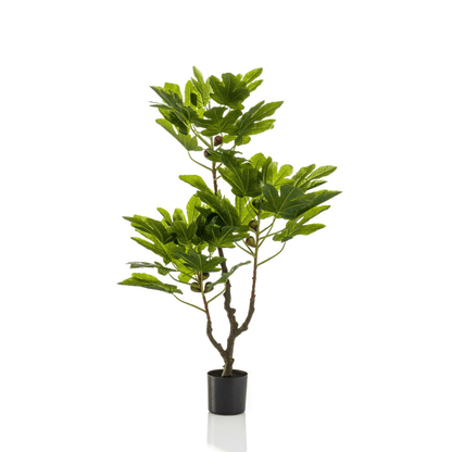 Ficus Carica - Vijgenboom | Kunstplant 1 - LushLeaf | Online planten bestellen