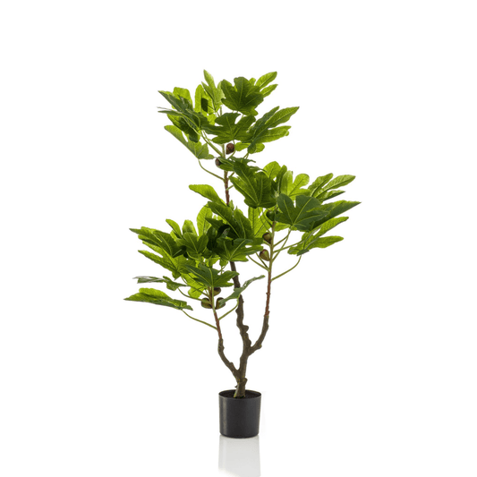 Ficus Carica - Vijgenboom | Kunstplant 1 - LushLeaf | Online planten bestellen