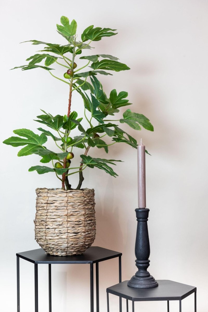 Ficus Carica - Vijgenboom | Kunstplant 3 - LushLeaf | Online planten bestellen
