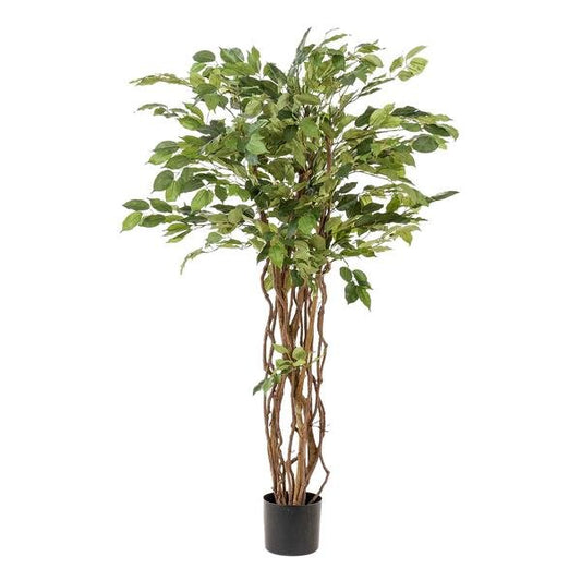 Ficus liana - Vioolbladplant | kunstplant 1 - LushLeaf | Online planten bestellen