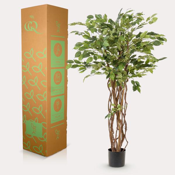 Ficus liana - Vioolbladplant | kunstplant 3 - LushLeaf | Online planten bestellen