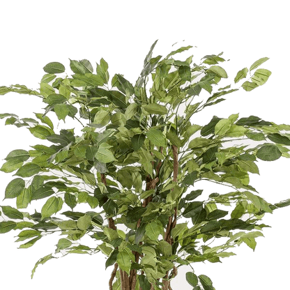 Ficus liana - Vioolbladplant | kunstplant 2 - LushLeaf | Online planten bestellen