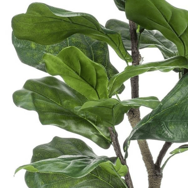 Ficus Lyrata - Tabaksplant | Kunstplant 2 - LushLeaf | Online planten bestellen