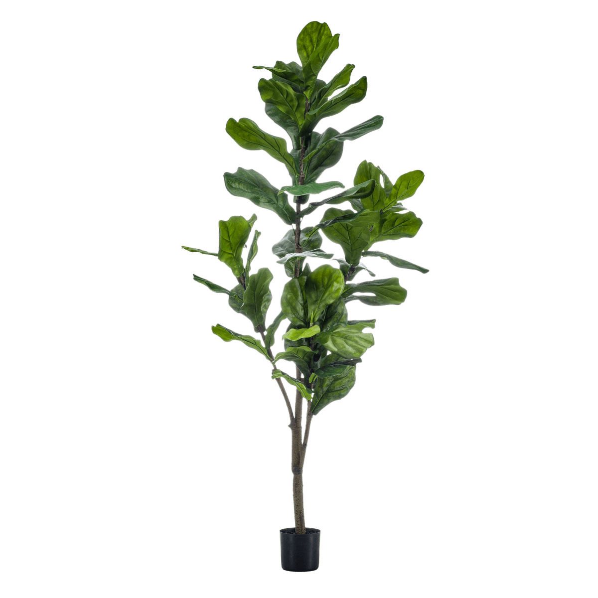 Ficus Lyrata - Tabaksplant | Kunstplant 6 - LushLeaf | Online planten bestellen