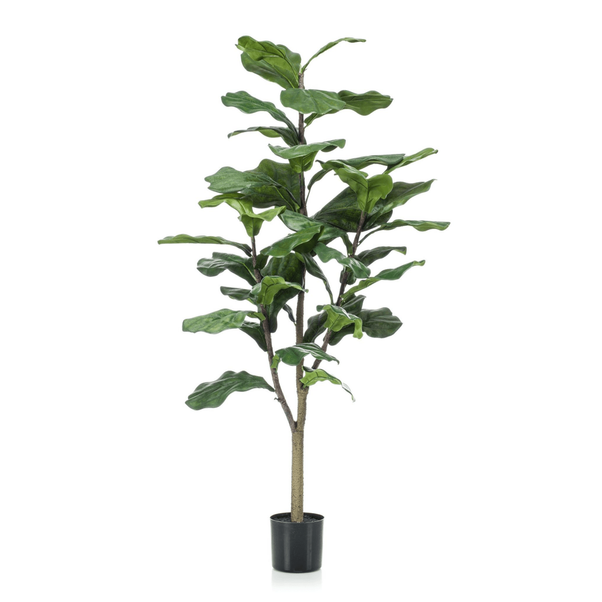 Ficus Lyrata - Tabaksplant | Kunstplant 7 - LushLeaf | Online planten bestellen