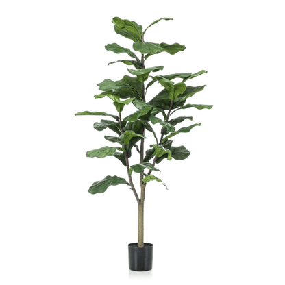 Ficus Lyrata - Tabaksplant | Kunstplant 7 - LushLeaf | Online planten bestellen