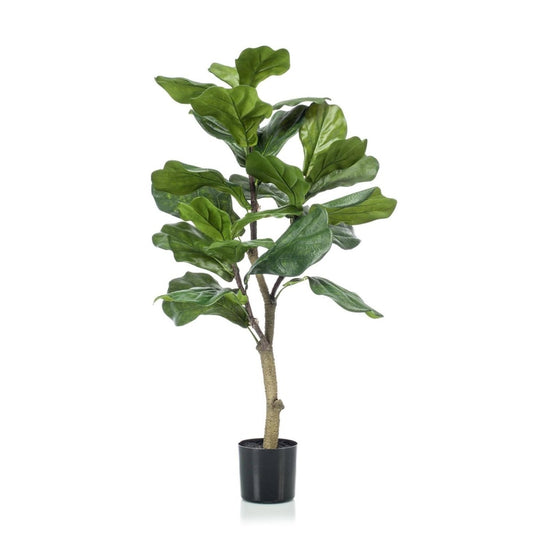Ficus Lyrata - Tabaksplant | Kunstplant 1 - LushLeaf | Online planten bestellen