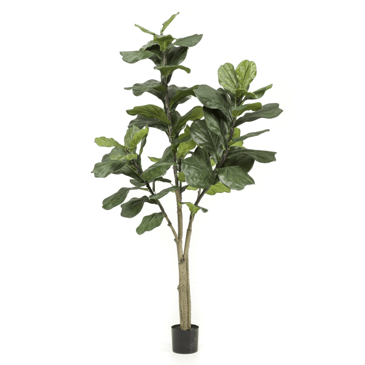 Ficus Lyrata - Tabaksplant | Kunstplant 5 - LushLeaf | Online planten bestellen