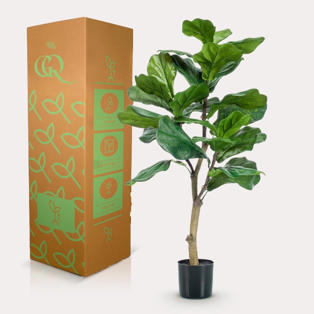 Ficus Lyrata - Tabaksplant | Kunstplant 4 - LushLeaf | Online planten bestellen
