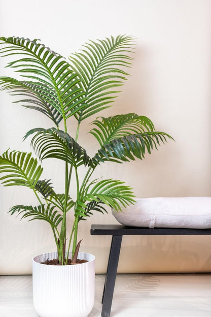 Howea Forsteriana | Kunstplant 3 - LushLeaf | Online planten bestellen