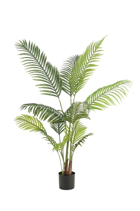 Howea Forsteriana | Kunstplant 1 - LushLeaf | Online planten bestellen