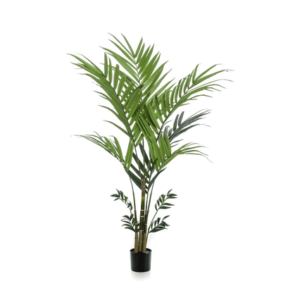 Kentia - Kentiapalm | Kunstplant 4 - LushLeaf | Online planten bestellen