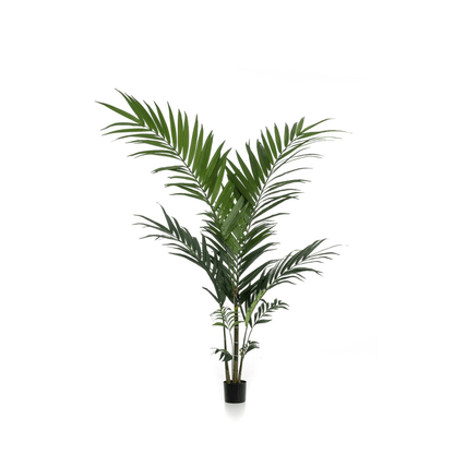 Kentia - Kentiapalm | Kunstplant 1 - LushLeaf | Online planten bestellen