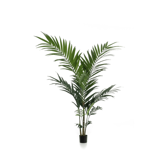 Kentia - Kentiapalm | Kunstplant 1 - LushLeaf | Online planten bestellen