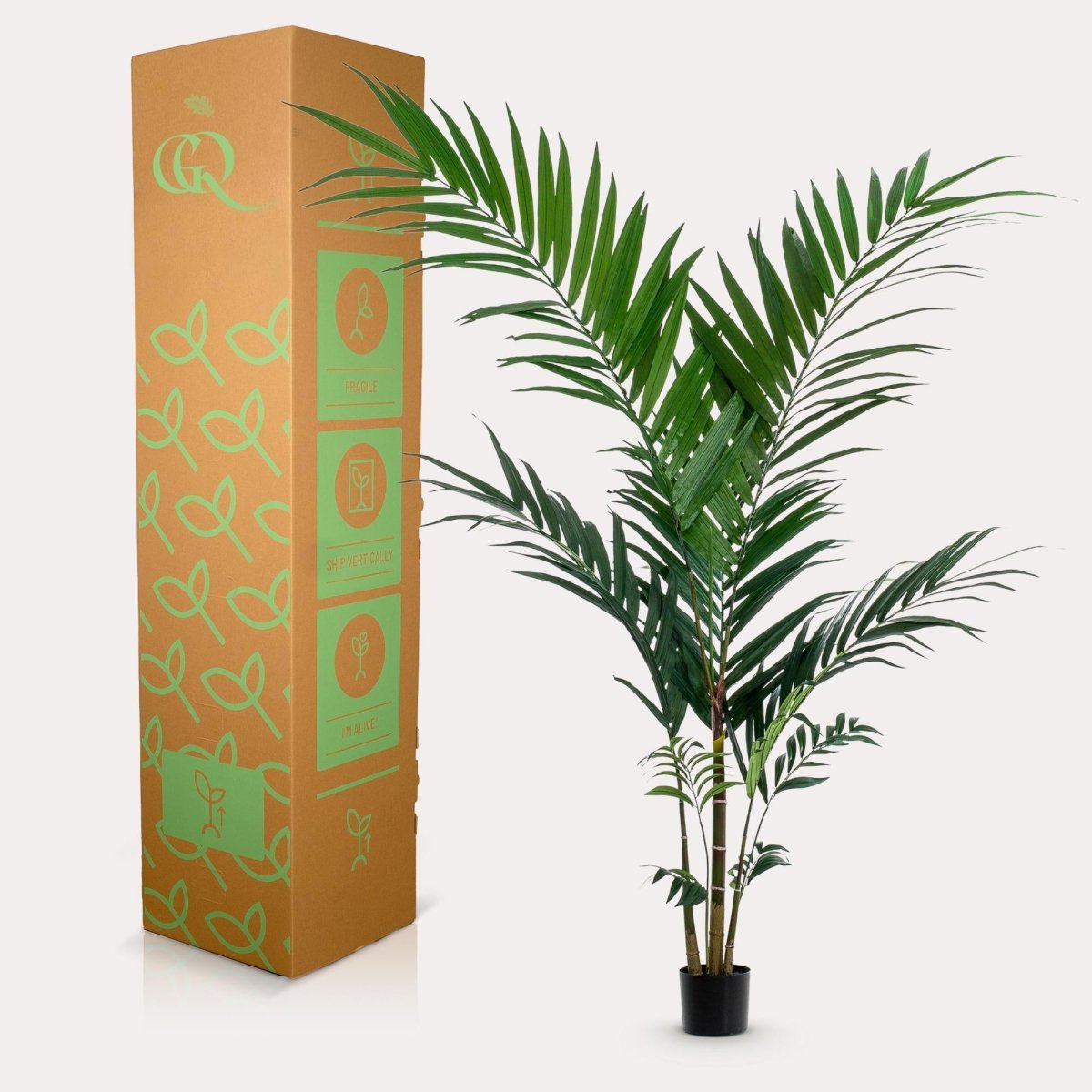 Kentia - Kentiapalm | Kunstplant 3 - LushLeaf | Online planten bestellen
