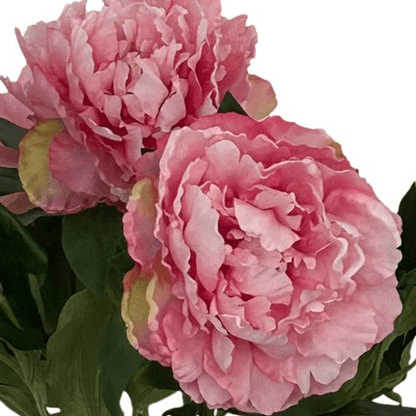 Light Pink Peonies x5 | Kunstbloemen 2 - LushLeaf | Online planten bestellen