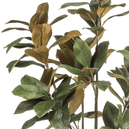 Magnolia Grandiflora | Kunstplant 2 - LushLeaf | Online planten bestellen