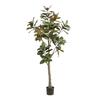 Magnolia Grandiflora | Kunstplant 4 - LushLeaf | Online planten bestellen