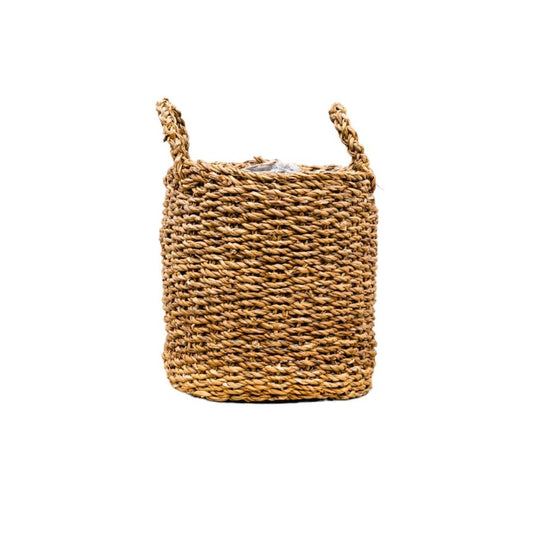 Mand Jack 1 - LushLeaf | Online planten bestellen