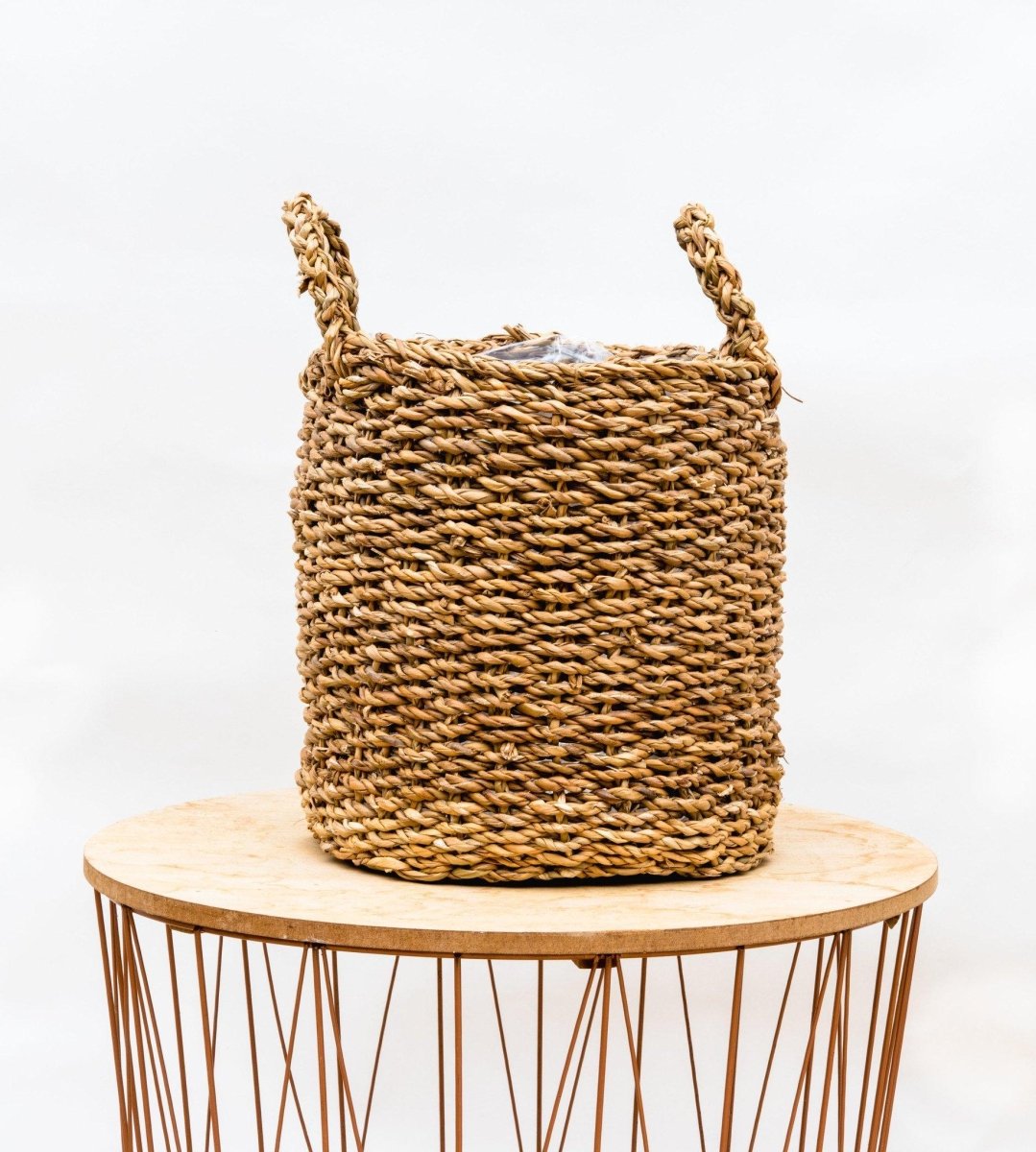 Mand Jack 2 - LushLeaf | Online planten bestellen
