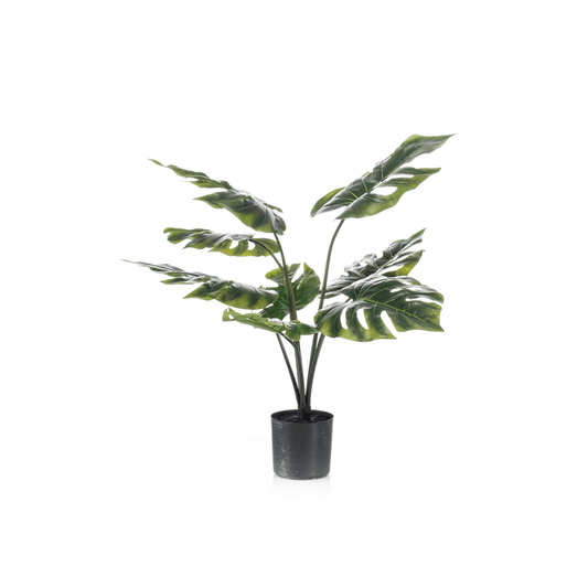 Monstera Deliciosa | kunstplant 1 - LushLeaf | Online planten bestellen