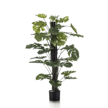 Monstera Deliciosa mosstok | kunstplant 1 - LushLeaf | Online planten bestellen
