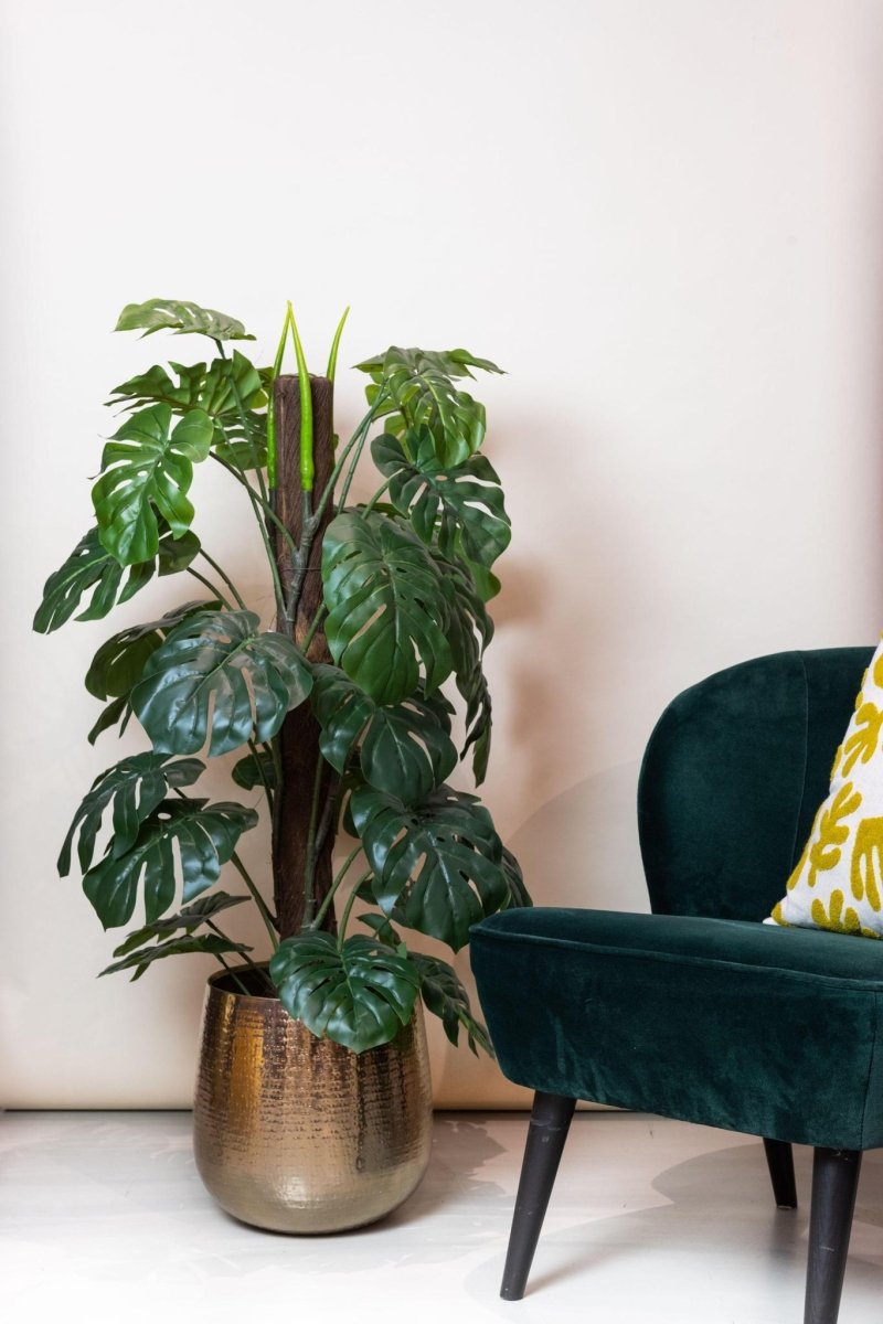 Monstera Deliciosa mosstok | kunstplant 3 - LushLeaf | Online planten bestellen
