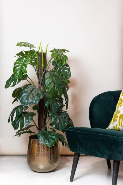 Monstera Deliciosa mosstok | kunstplant 3 - LushLeaf | Online planten bestellen