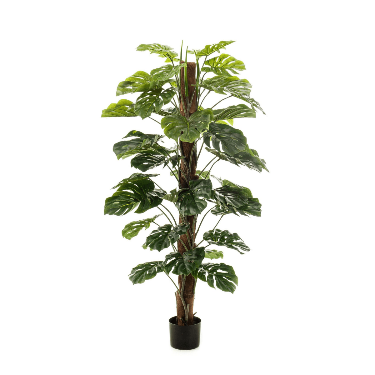 Monstera Deliciosa mosstok | kunstplant 5 - LushLeaf | Online planten bestellen
