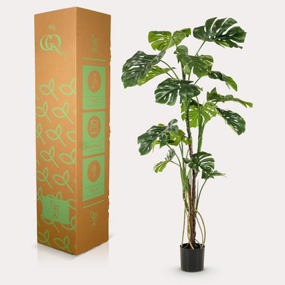 Monstera - Gatenplant | kunstplant 3 - LushLeaf | Online planten bestellen