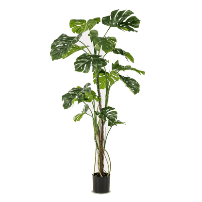 Monstera - Gatenplant | kunstplant 1 - LushLeaf | Online planten bestellen