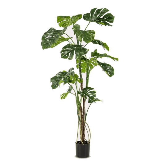 Monstera - Gatenplant | kunstplant 1 - LushLeaf | Online planten bestellen