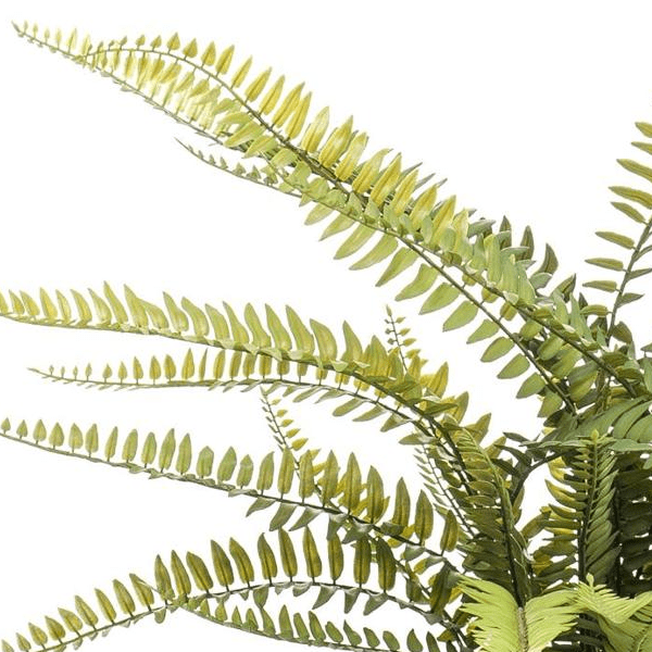 Nephrolepis Exaltata - Bostonvaren | Kunstplant 2 - LushLeaf | Online planten bestellen