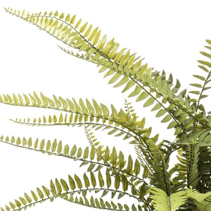 Nephrolepis Exaltata - Bostonvaren | Kunstplant 2 - LushLeaf | Online planten bestellen