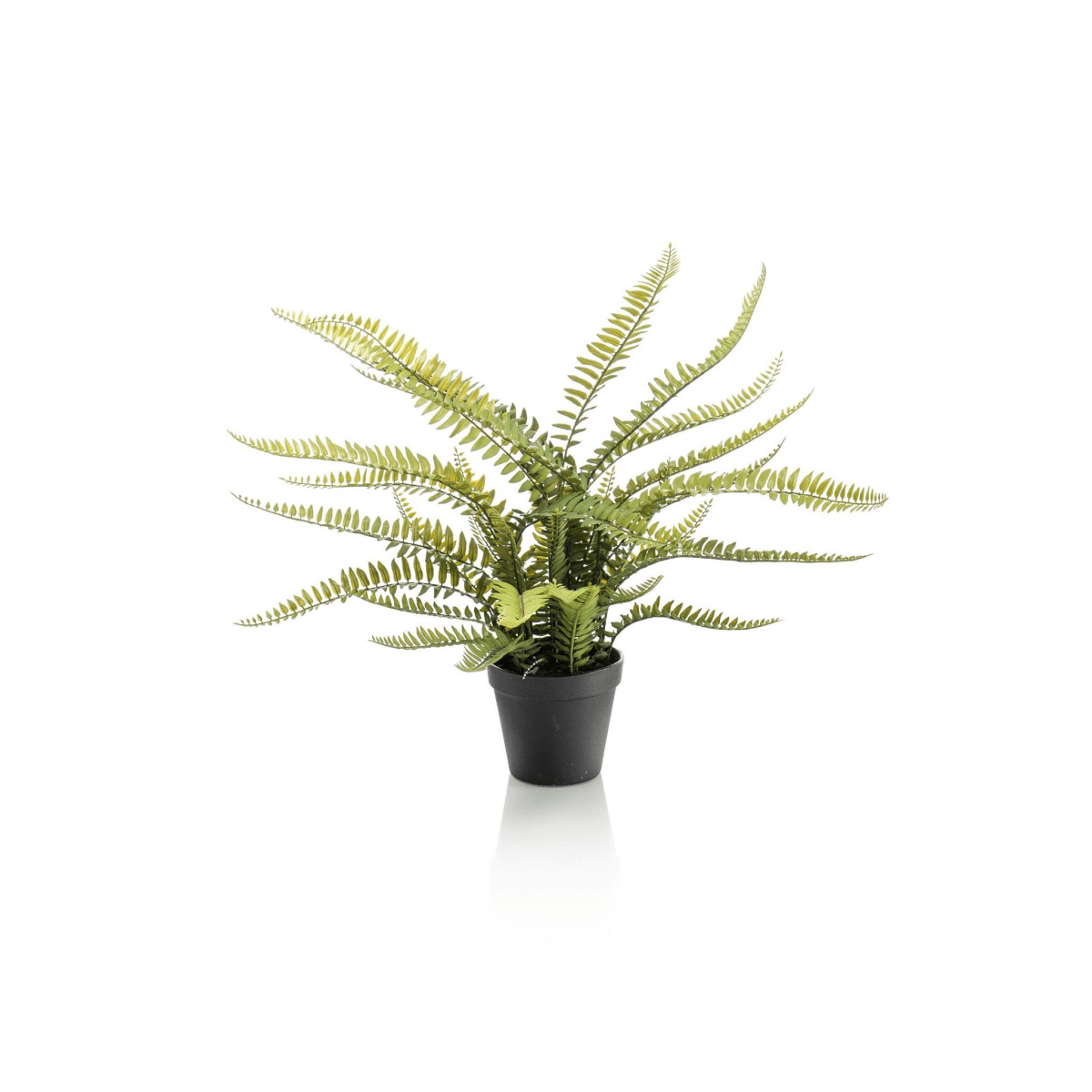 Nephrolepis Exaltata - Bostonvaren | Kunstplant 1 - LushLeaf | Online planten bestellen