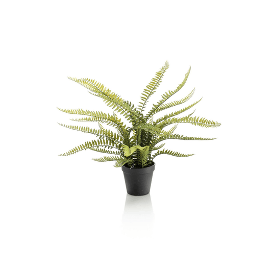 Nephrolepis Exaltata - Bostonvaren | Kunstplant 1 - LushLeaf | Online planten bestellen