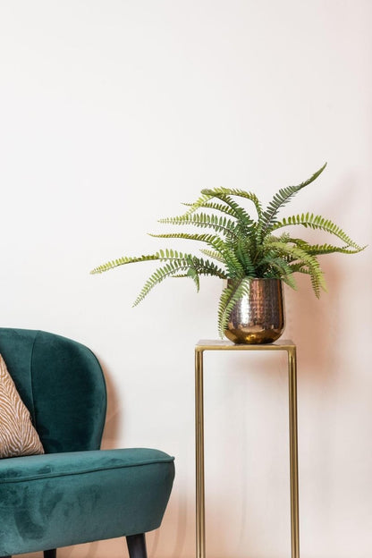 Nephrolepis Exaltata - Bostonvaren | Kunstplant 3 - LushLeaf | Online planten bestellen