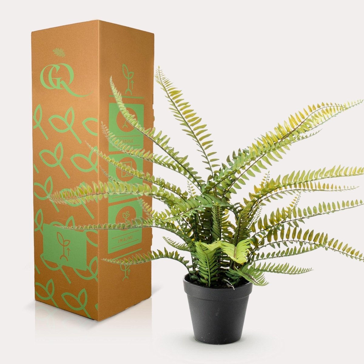 Nephrolepis Exaltata - Bostonvaren | Kunstplant 4 - LushLeaf | Online planten bestellen