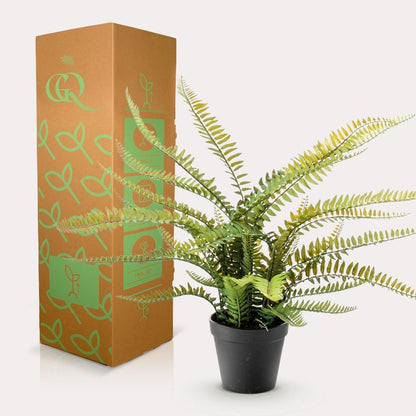 Nephrolepis Exaltata - Bostonvaren | Kunstplant 4 - LushLeaf | Online planten bestellen