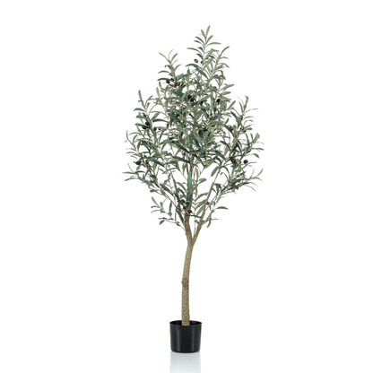 Olea europaea - Olijfboom | Kunstplant 5 - LushLeaf | Online planten bestellen