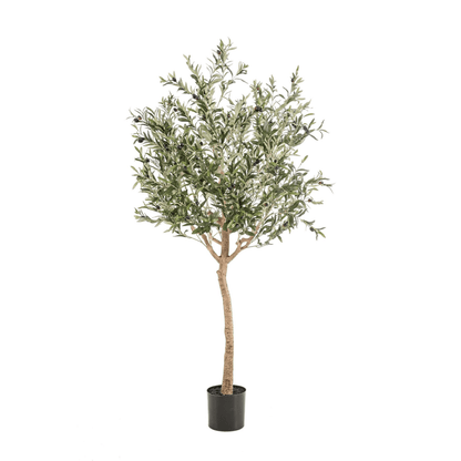 Olea europaea - Olijfboom | Kunstplant 6 - LushLeaf | Online planten bestellen