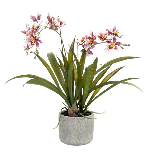 Orchidee Bordeaux | Kunstplant 1 - LushLeaf | Online planten bestellen