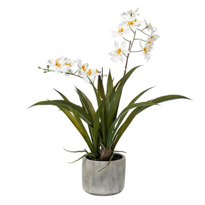 Orchidee Wit | Kunstplant 1 - LushLeaf | Online planten bestellen