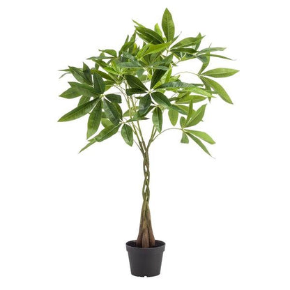 Pachira Aquatica - Geldboom | Kunstplant 6 - LushLeaf | Online planten bestellen