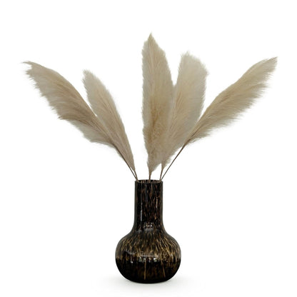 Pampas Plumes Crème x6 | Kunstbloemen 1 - LushLeaf | Online planten bestellen