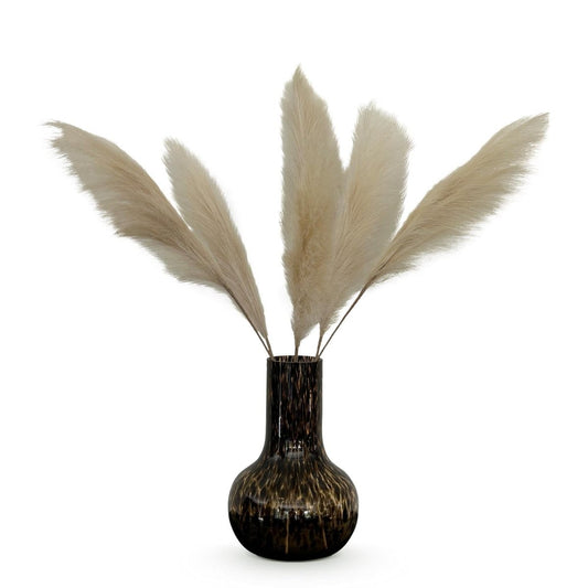 Pampas Plumes Crème x6 | Kunstbloemen 1 - LushLeaf | Online planten bestellen