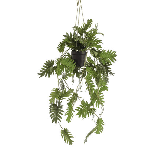 Philodendron - Klimmende boomliefhebber | Kunstplant 1 - LushLeaf | Online planten bestellen