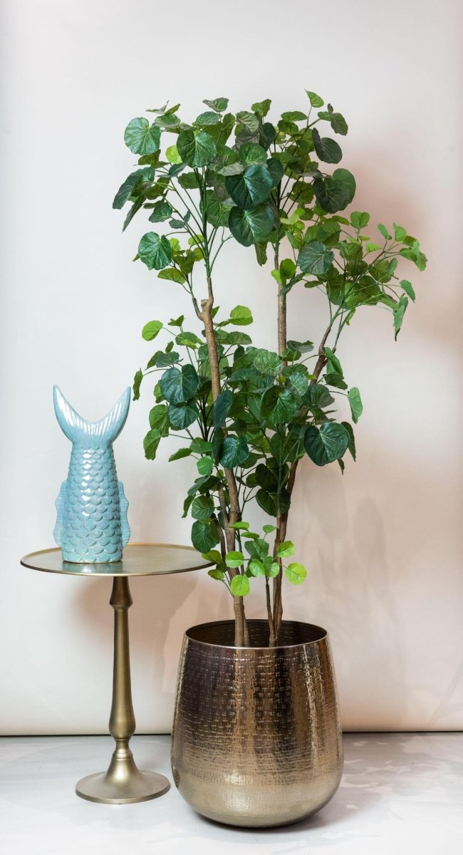 Polyscias - Aralia | Kunstplant 3 - LushLeaf | Online planten bestellen