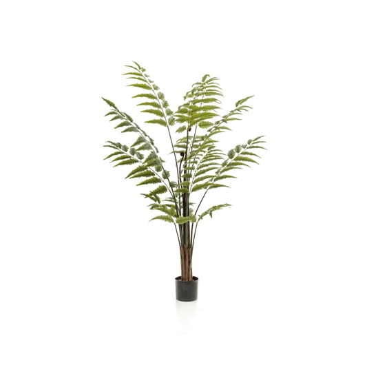 Rumohra Adiantiformis - Ledervaren | Kunstplant 1 - LushLeaf | Online planten bestellen
